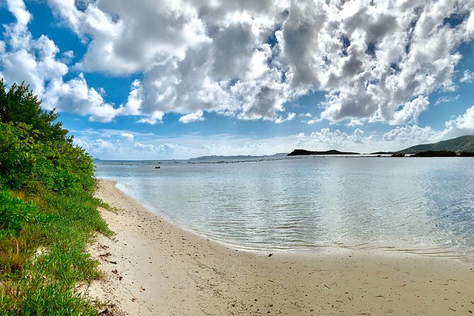 Tortola Private Tour and Snorkeling in the Most Beautiful Beaches - Tour Overview and Inclusions