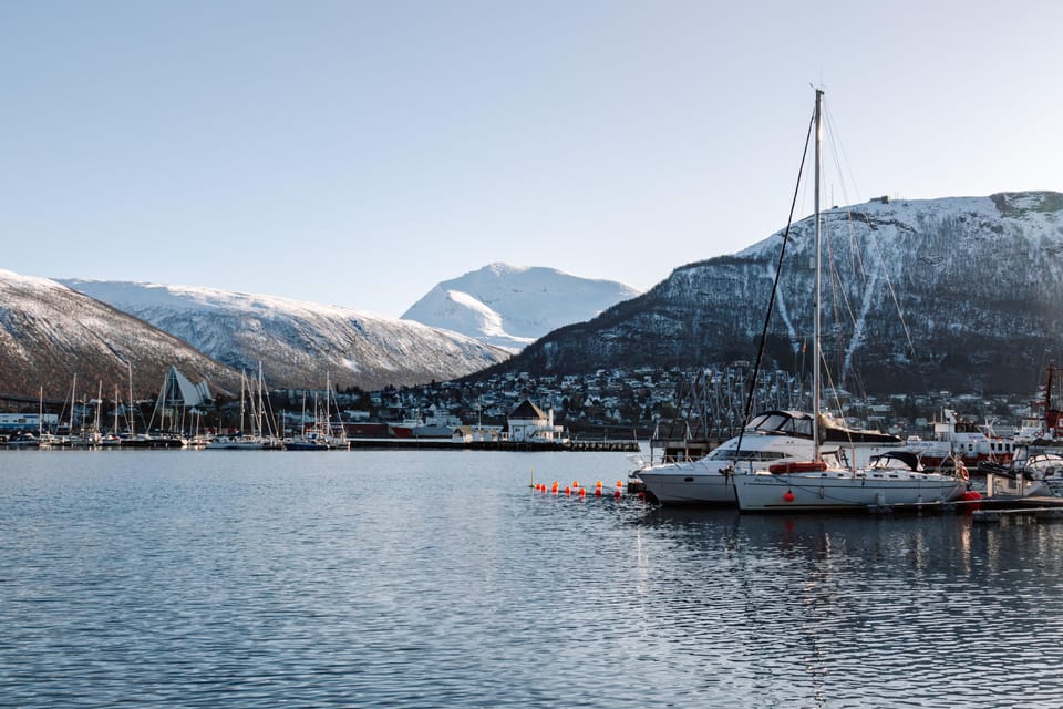 Tromsø: Arctic Flavors Food Walking Tour - Key Points