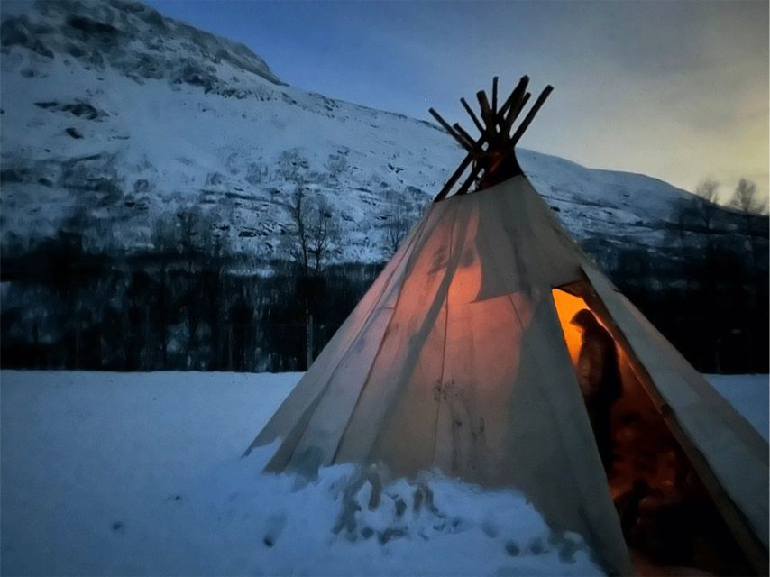 Tromsø: Reindeer Experience in Sami Camp - Key Points