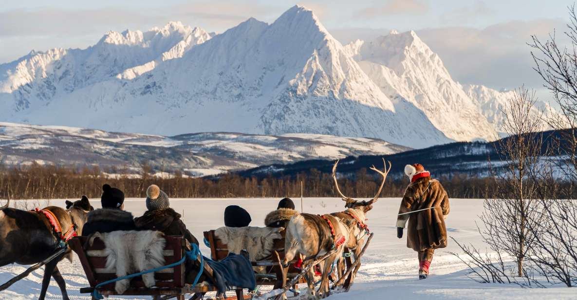 Tromsø: Sámi Reindeer Sledding and Sami Cultural Tour - Key Points