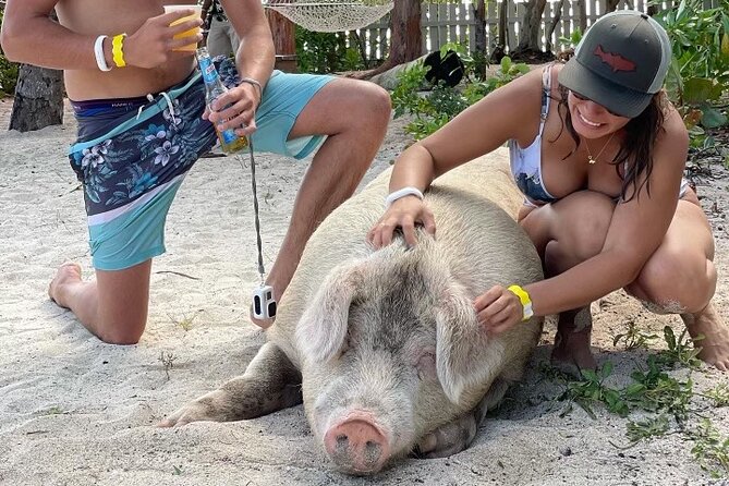 Ultimate SeaXscape! Pigs, Turtles, Snorkel, Lunch, Pickup/Dropoff - Key Points