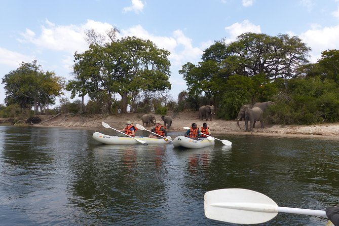 Upper Zambezi Canoeing - Key Points