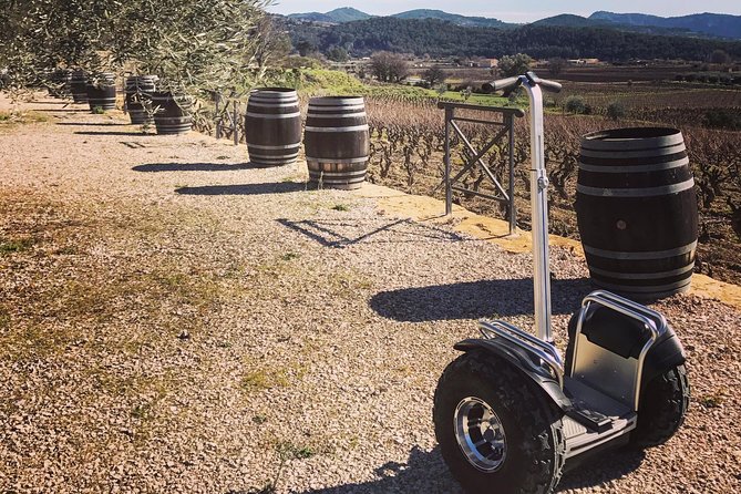 Vineyard Visit by Segway, Tour of Cellar & Tasting Wines of Bandol - Key Points