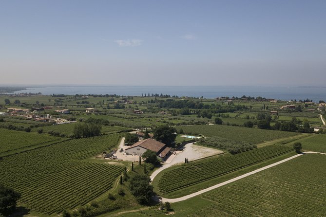 Visit and Wine Tasting at Tenuta La Cà - Key Points