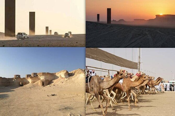 West Coast and Camel Race Track Visit - Key Points