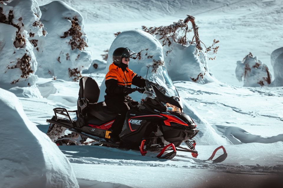 Ylläs: Wilderness Snowmobile Tour - Key Points