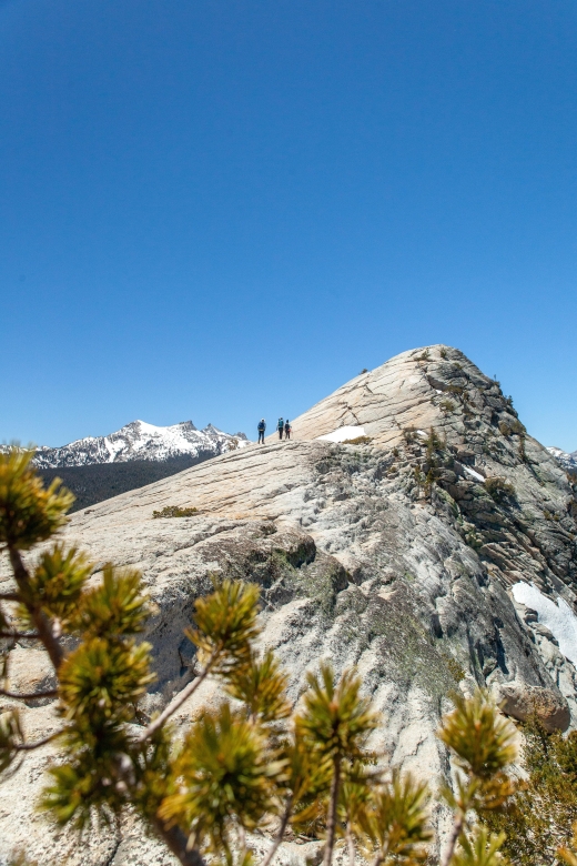 Yosemite National Park Guided Hike and Tour - Key Points