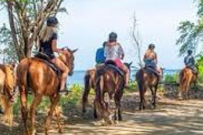 Ziplines/Horse Back Ride & Swim and ATV or Dune Buggy. - Tour Overview and Activities