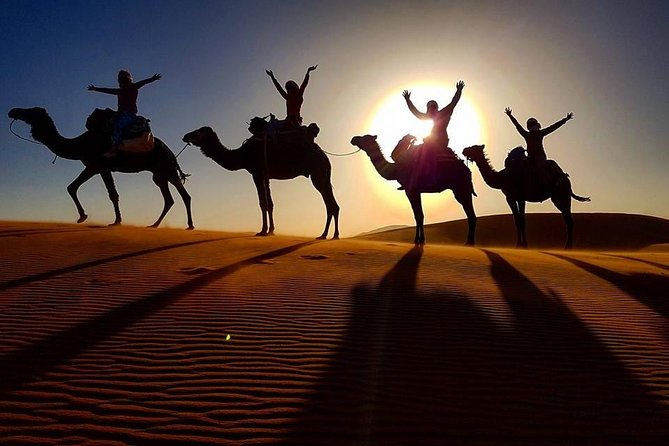 12 Days 11 Nights Morocco Cultural Immersion Tour - Accommodation and Meals