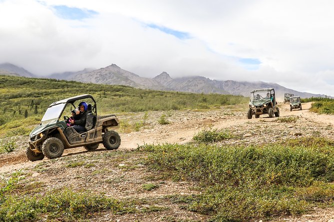 2.5-Hour Denali Wilderness ATV Adventure Tour - Tour Details