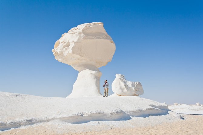 2 Day Bahariya Oasis White Desert Tour - Tour Overview