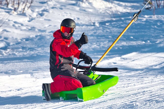 2-Hour Racing Toboggan at Dagali Fjellpark Near Geilo in Norway - Sled and Lift Ticket Inclusions