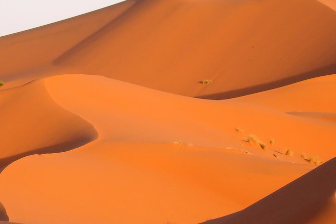 3 Day Tour To Merzouga Erg Chebbi With Food & Camel Trek Highlights Of The Tour