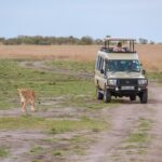 3 Days Luxury Safari Tour In Tanzania Tour Overview