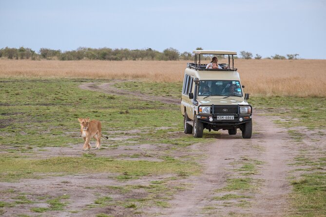 3 Days Luxury Safari Tour in Tanzania - Tour Overview