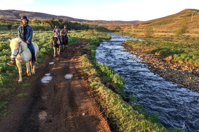 3 Hour Private Horse Riding Tour in Mosfellsdalur - Icelandic Horse Basics