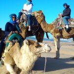 3 Hours Ride On Camel At Sunset Tour Overview