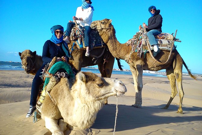 3 Hours Ride on Camel at Sunset - Tour Overview