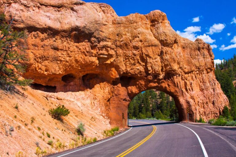 30+ National Parks Self Guided Driving Tours Bundle Tour Overview And Highlights