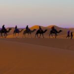 4 Days Desert Safari Tour From Marrakech To Merzouga Tour Overview