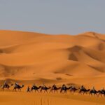 5 Days Tour From Tangier To Marrakech Via Sahara Desert Pickup Locations