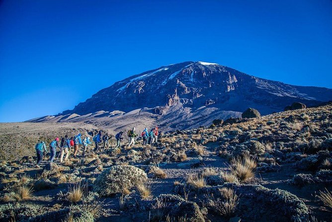 6 Day Rongai Route Trek In Mount Kilimanjaro Inclusions