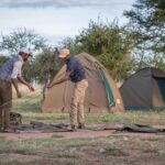 6 Days Private Budget Safari Tour Overview