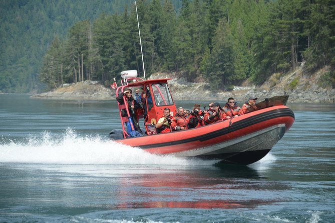 7 8 Hour Zodiac Whale Watching Tour Tour Details