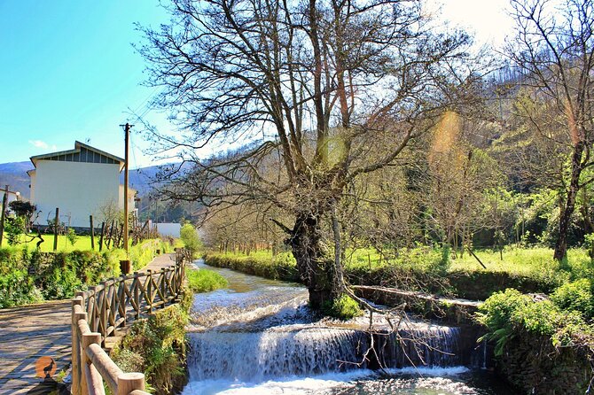 A Tour Between the Cascades and Schist Villages, Piodão - Tour Details