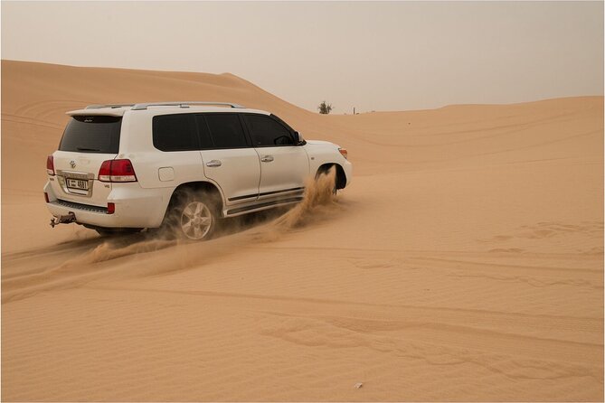 Abu Dhabi Morning Desert Safari - Private Car - Tour Overview