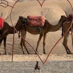 Agafay Desert : Dinner, Show, Sunset & Access To The Pool Dinner And Traditional Moroccan Cuisine