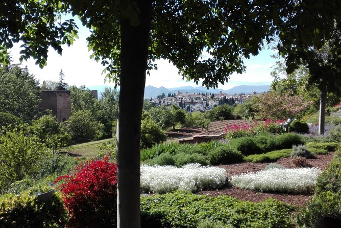 Alhambra Private Tour (Without Tickets) Total/Group Max 15 People - Tour Experience