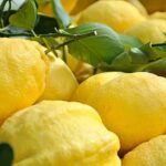 Amalfi Coast Maiori: Path Of Lemons, Tour With Tasting Inclusions