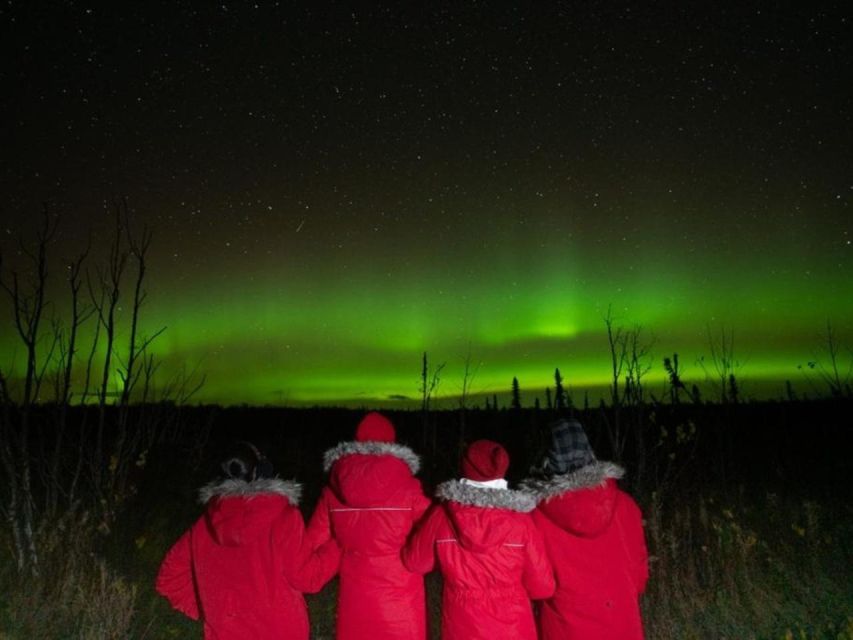 Anchorage: Nighttime Northern Lights Tour - Key Points