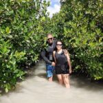 Aruba Glass Bottom Kayak Tour Through The Mangrove Forest Tour Overview