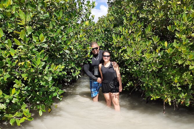 Aruba Glass Bottom Kayak Tour Through the Mangrove Forest - Tour Overview