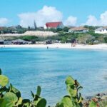 Aruba Island Private Tour: 3 Hours Highlights Of The Tour