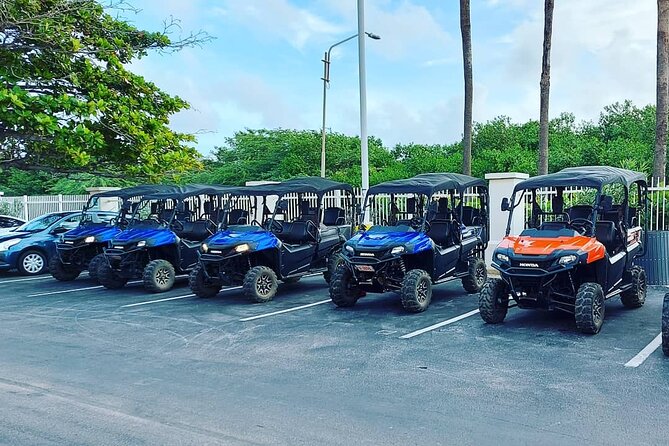 Aruba UTV Rental: 4-Seater for Adventure Exploration - Overview and Rental Details