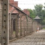 Auschwitz & Birkenau Live Guide Tour Entrance Ticket Tour Overview