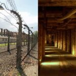 Auschwitz Birkenau & Salt Mine Tour In One Day From Krakow Tour Overview