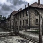 Auschwitz Birkenau Transfer And Guide With Salt Mine Combo Option Overview Of The Tour