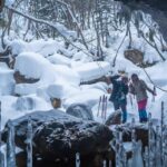 Bamboo Ice Cave Snowshoe Tour Review Unique Ice Cave Experience