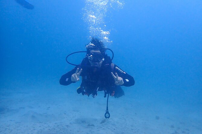 Basic Diver Course for Beginners With 1 Dive in the Ocean - Inclusions and Exclusions