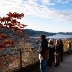 Bergen: Guided Minibus Tour With Photo Stops & Bryggen Tour Tour Overview