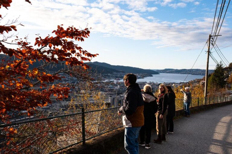 Bergen: Guided Minibus Tour With Photo Stops & Bryggen Tour Tour Overview