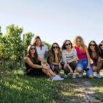 Bordeaux: Wine Tour With Tasting Activity Overview