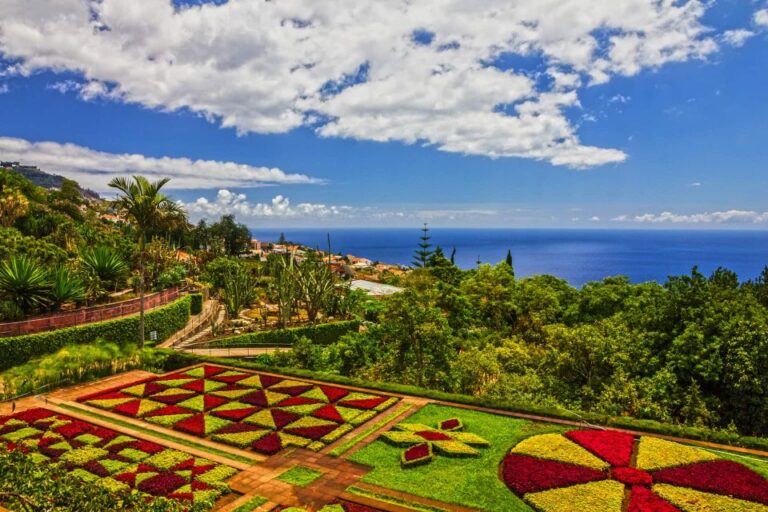 Botanical Garden & Funchal Old Town Private Tuk Tuk Tour Tour Overview