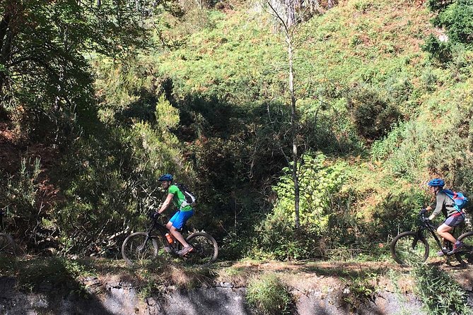 Botanical Trails of Madeira. Mountain Biking Trail Experience - Tour Overview