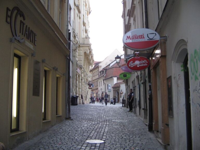 Brno: Historic Downtown Walking Tour Tour Overview