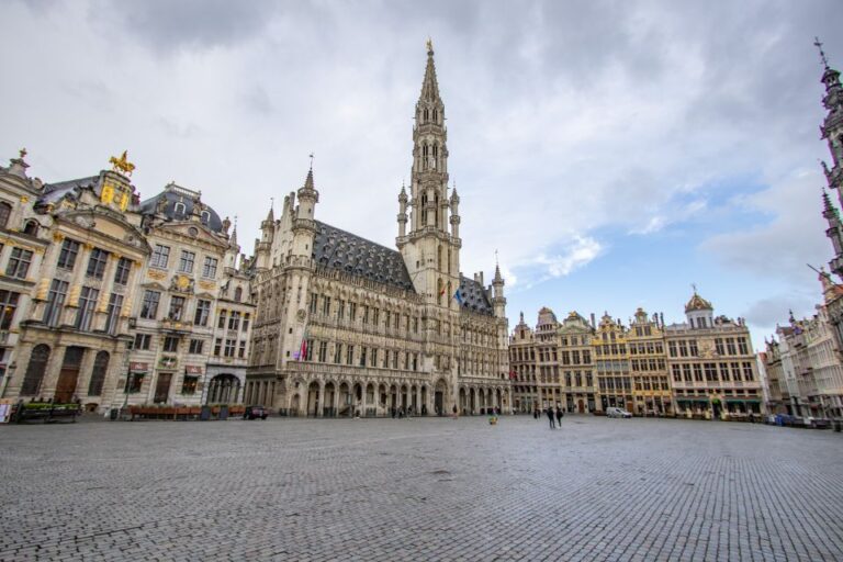 Brussels: Best Intro Guided Walking Tour With A Local Tour Overview And Details